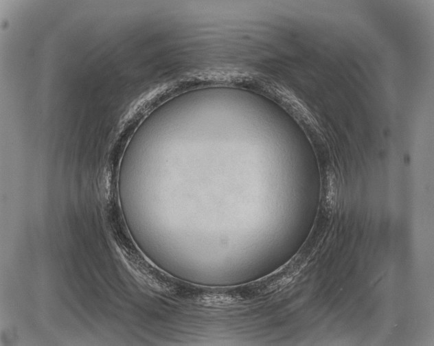 X0000087410636200704201402