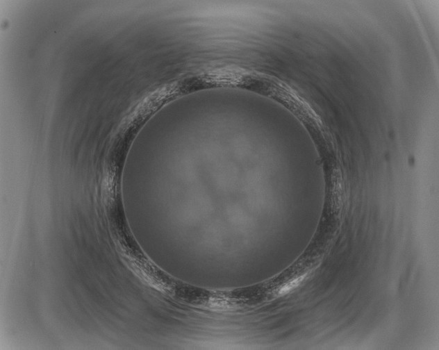 X0000087410641200704201402