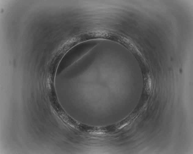 X0000087410643200704201402