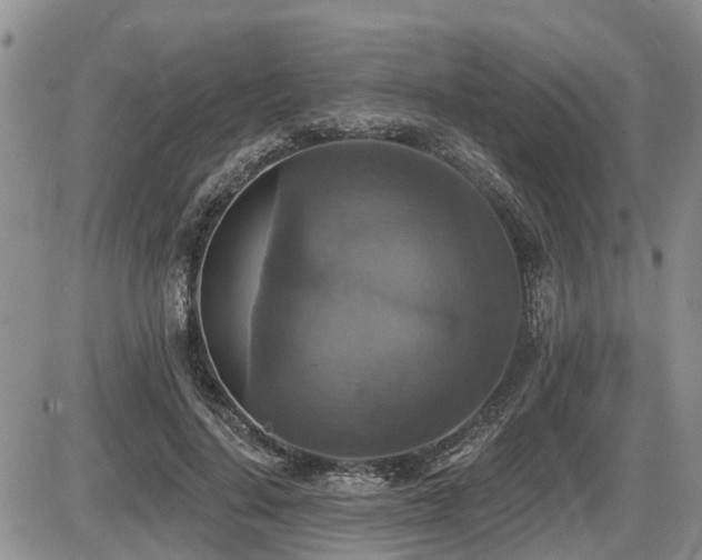 X0000087410644200704201402