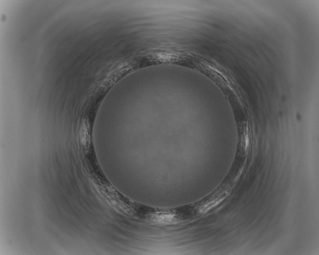 X0000087410651200704201402