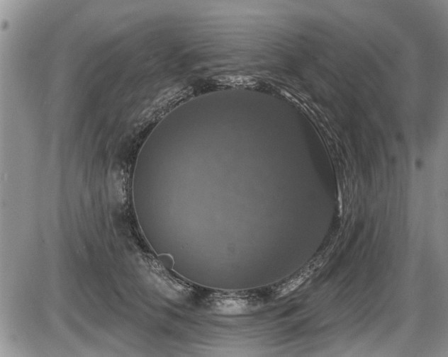 X0000087410658200704201402
