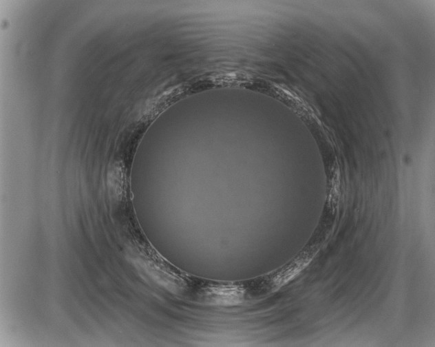 X0000087410659200704201402