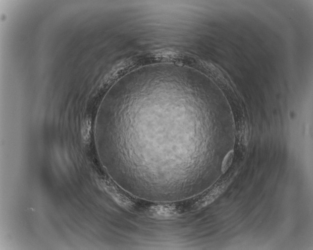 X0000087410660200704201402