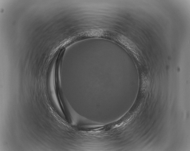 X0000087410681200704201401