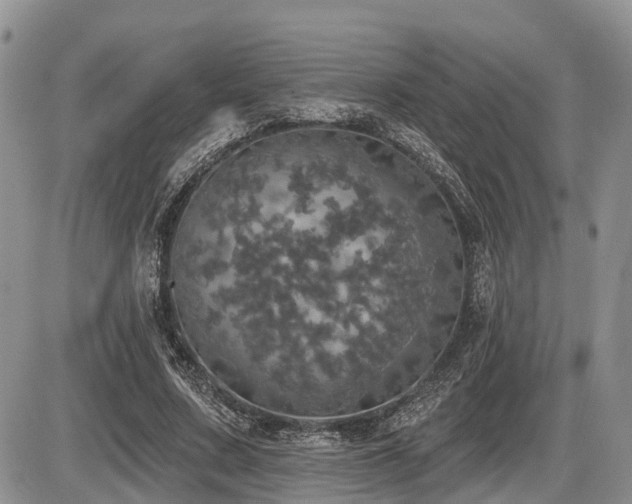 X0000087410683200704201401