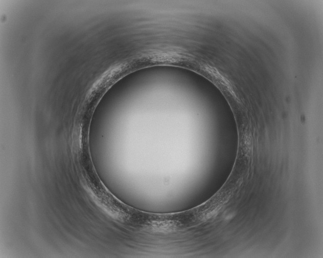 X0000087410686200704201401