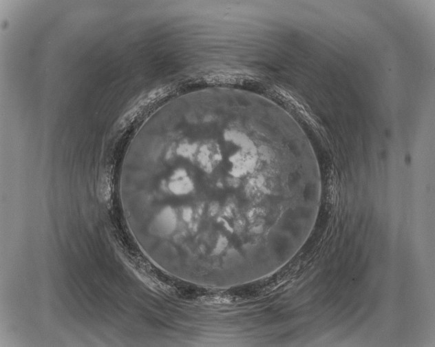 X0000087410687200704201401
