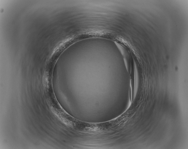 X0000087410688200704201401