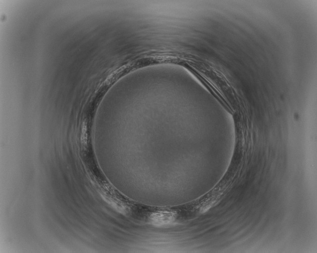 X0000087410700200704201401