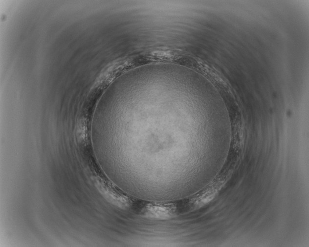X0000087410706200704201401