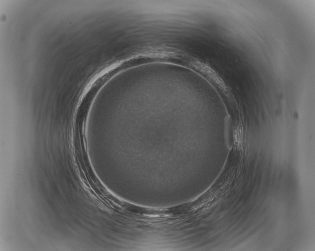 X0000087410724200704201400