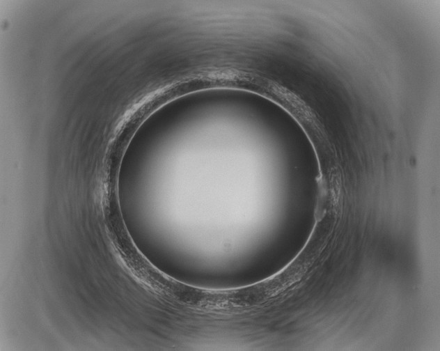 X0000087410728200704201400