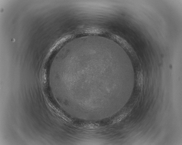 X0000087410731200704201400