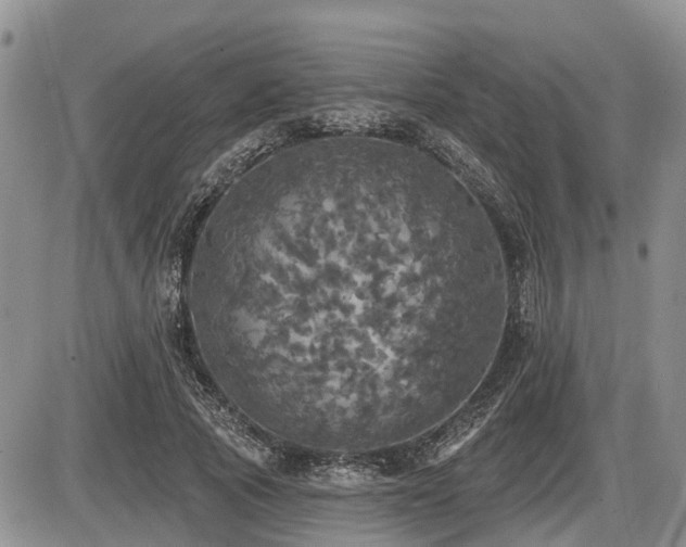 X0000087410737200704201400