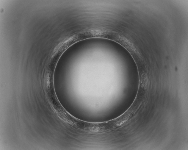 X0000087410740200704201400