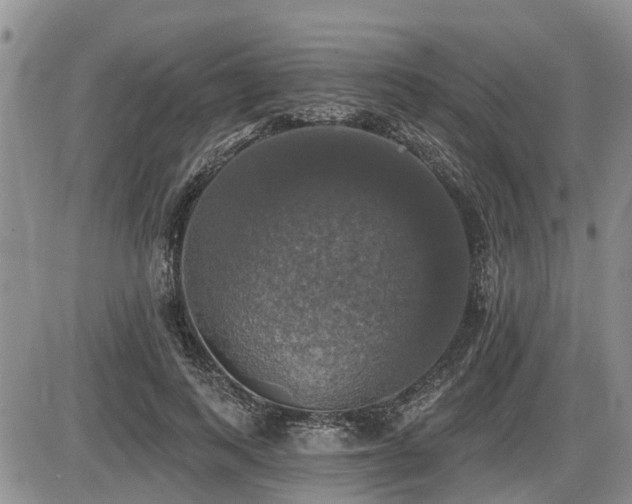 X0000087410743200704201400