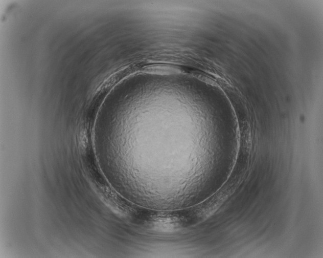 X0000087410746200704201400