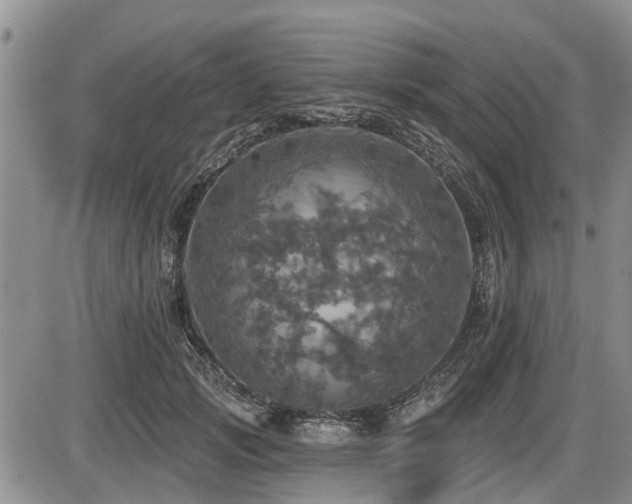 X0000087410749200704201400