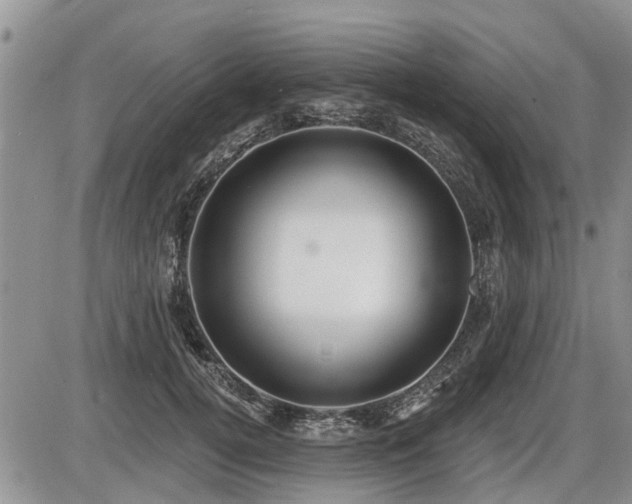 X0000087410752200704201400