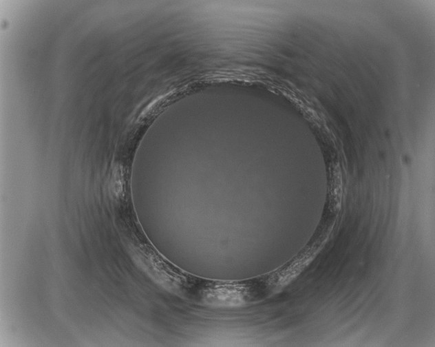 X0000087410758200704201400