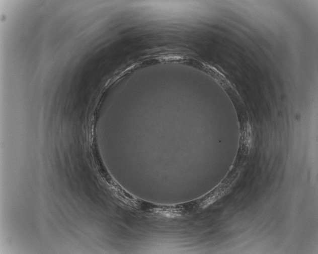 X0000087410763200704201401