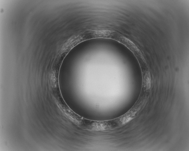 X0000087410764200704201401