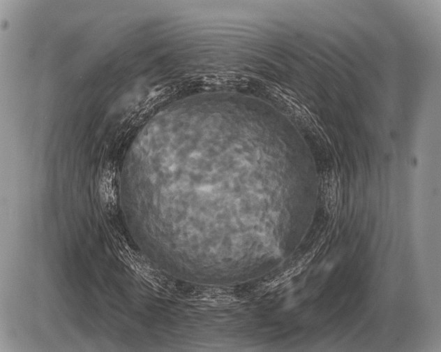 X0000087410770200704201400