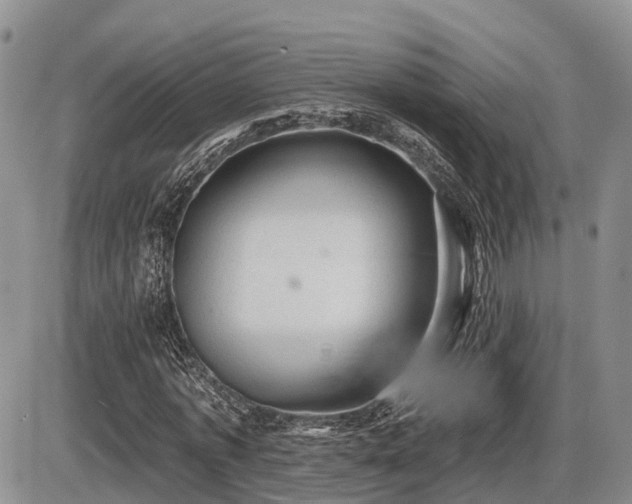 X0000087410773200704201400
