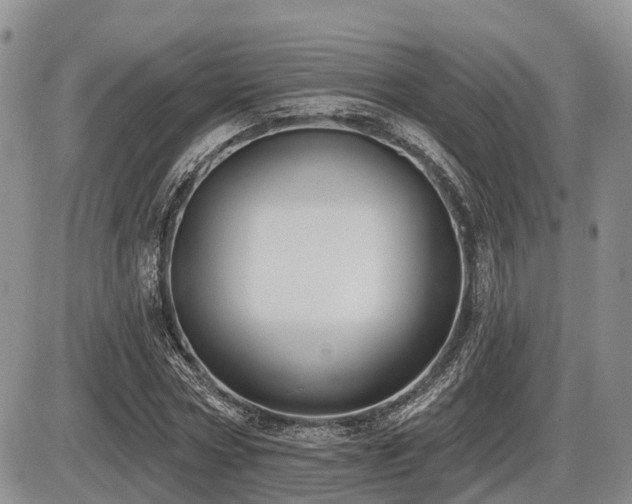 X0000087410778200704201400