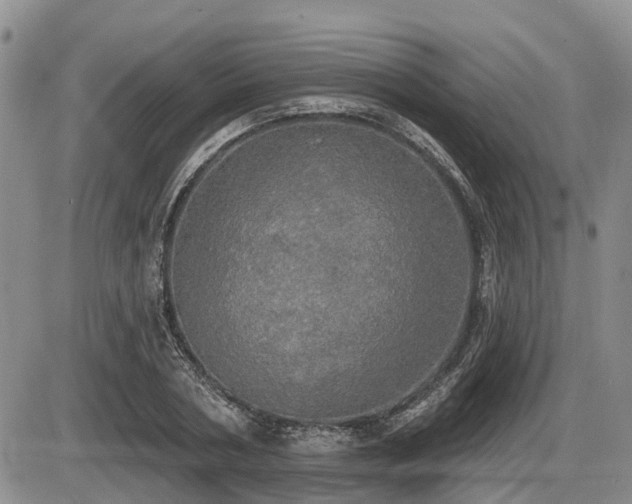 X0000087410786200704201400