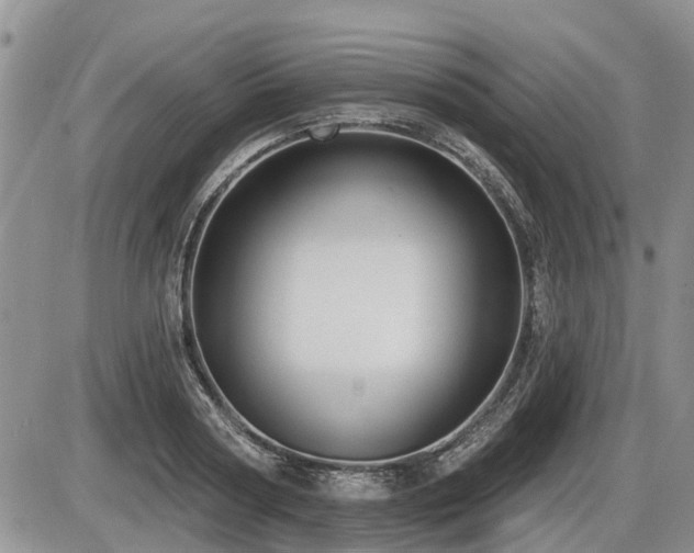 X0000087410794200704201359