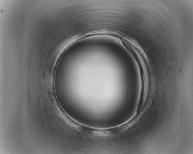 X0000087410805200704201359