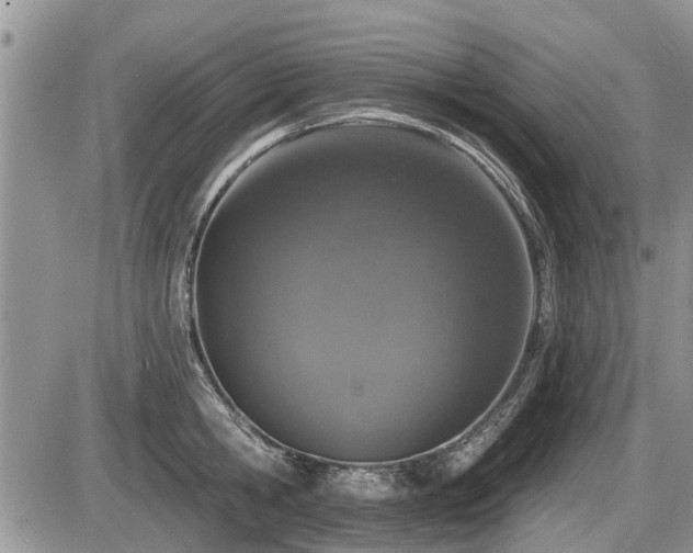 X0000087410806200704201359