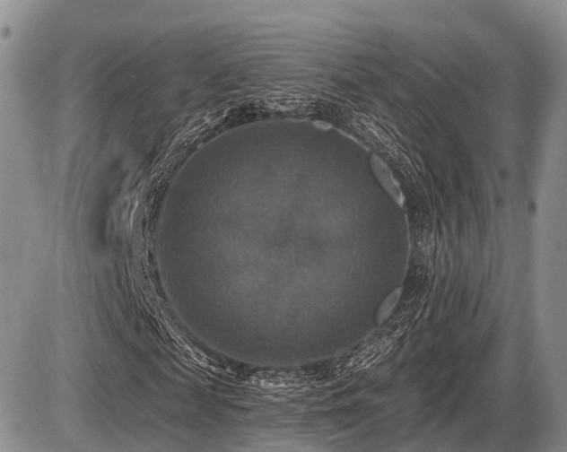X0000087410817200704201358