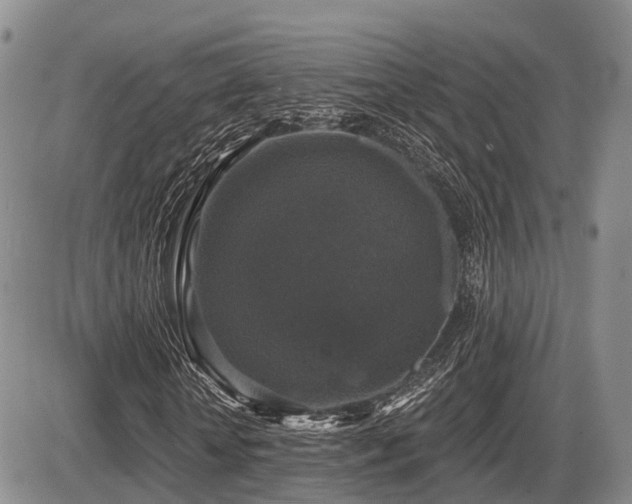X0000087410818200704201358