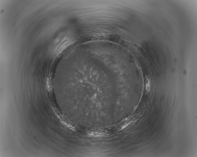 X0000087410819200704201358