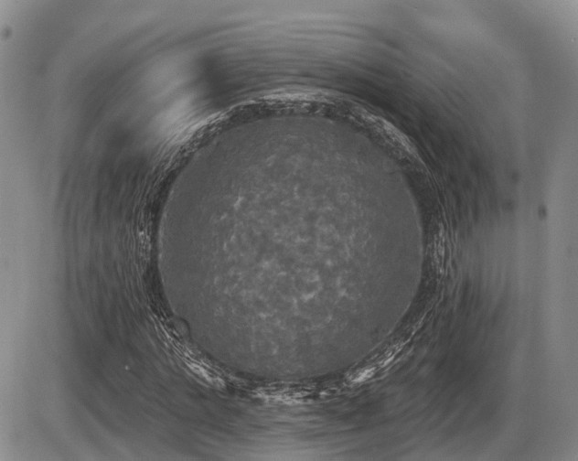 X0000087410821200704201358