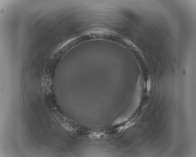 X0000087410822200704201358
