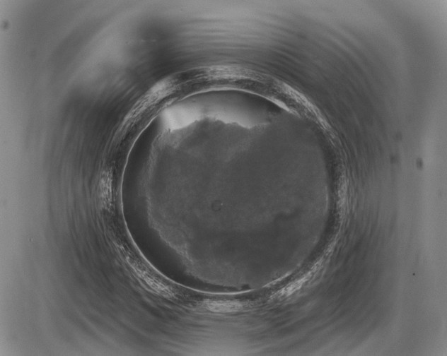 X0000087410825200704201358