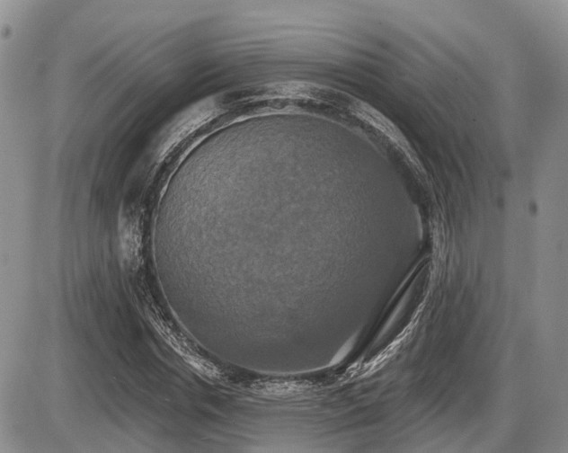 X0000087410826200704201358