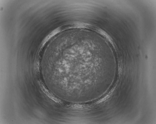 X0000087410827200704201358