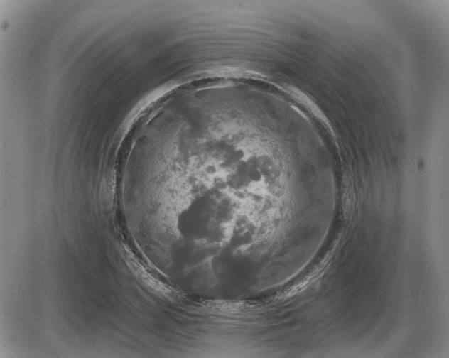 X0000087410831200704201359