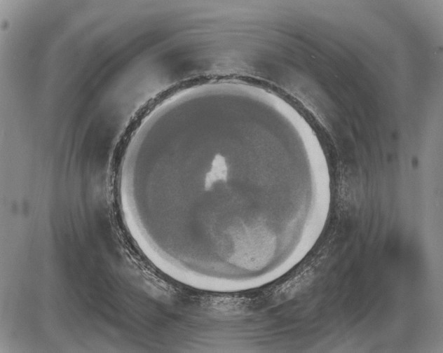 X0000087410832200704201359