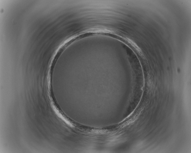 X0000087410840200704201359