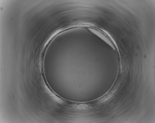X0000087410851200704201359