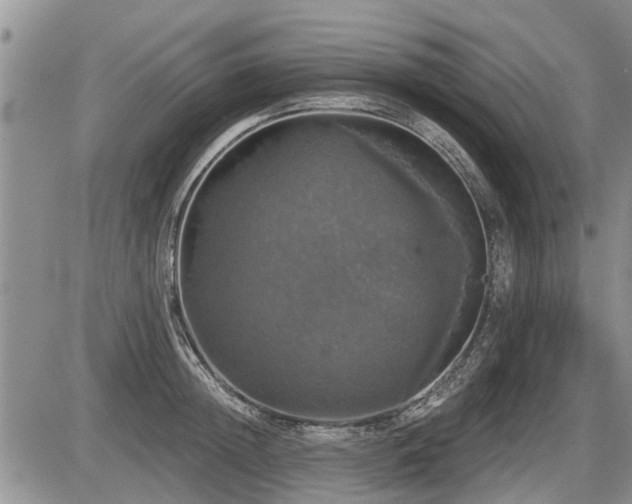 X0000087410852200704201359