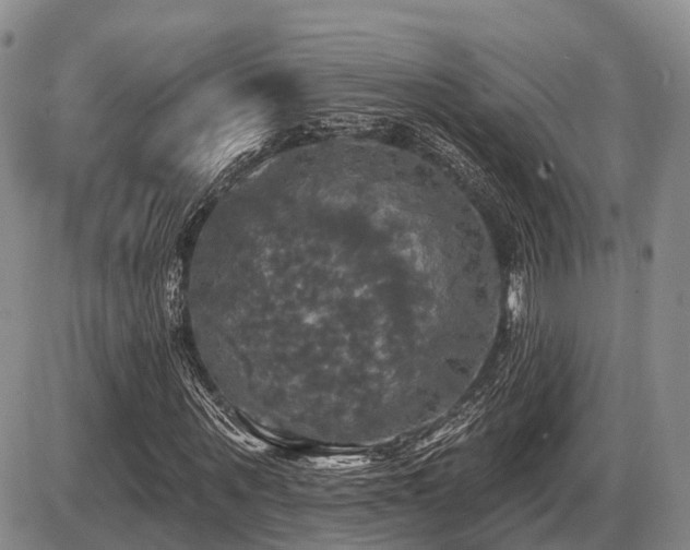 X0000087410867200704201358