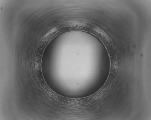 X0000087410869200704201358