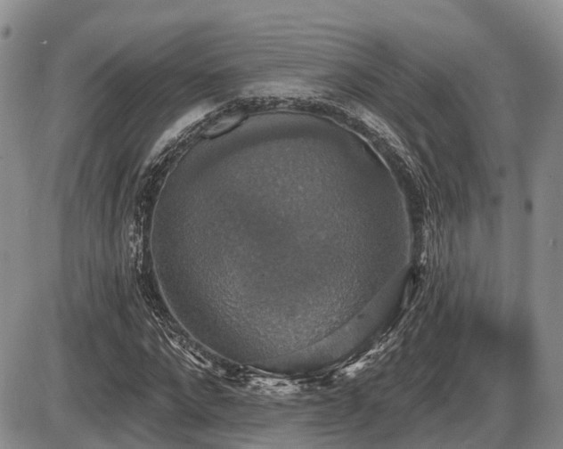 X0000087410872200704201358